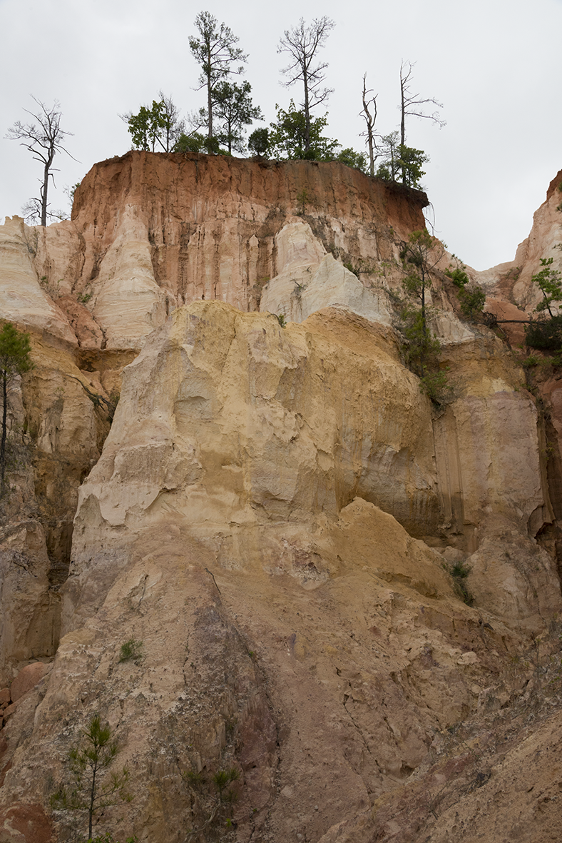 Photographie d'un canyon vue d'en bas symbolisant un cheminement possible vers le sommet. EMDR permet d’atteindre un objectif qui semble difficile à atteindre.