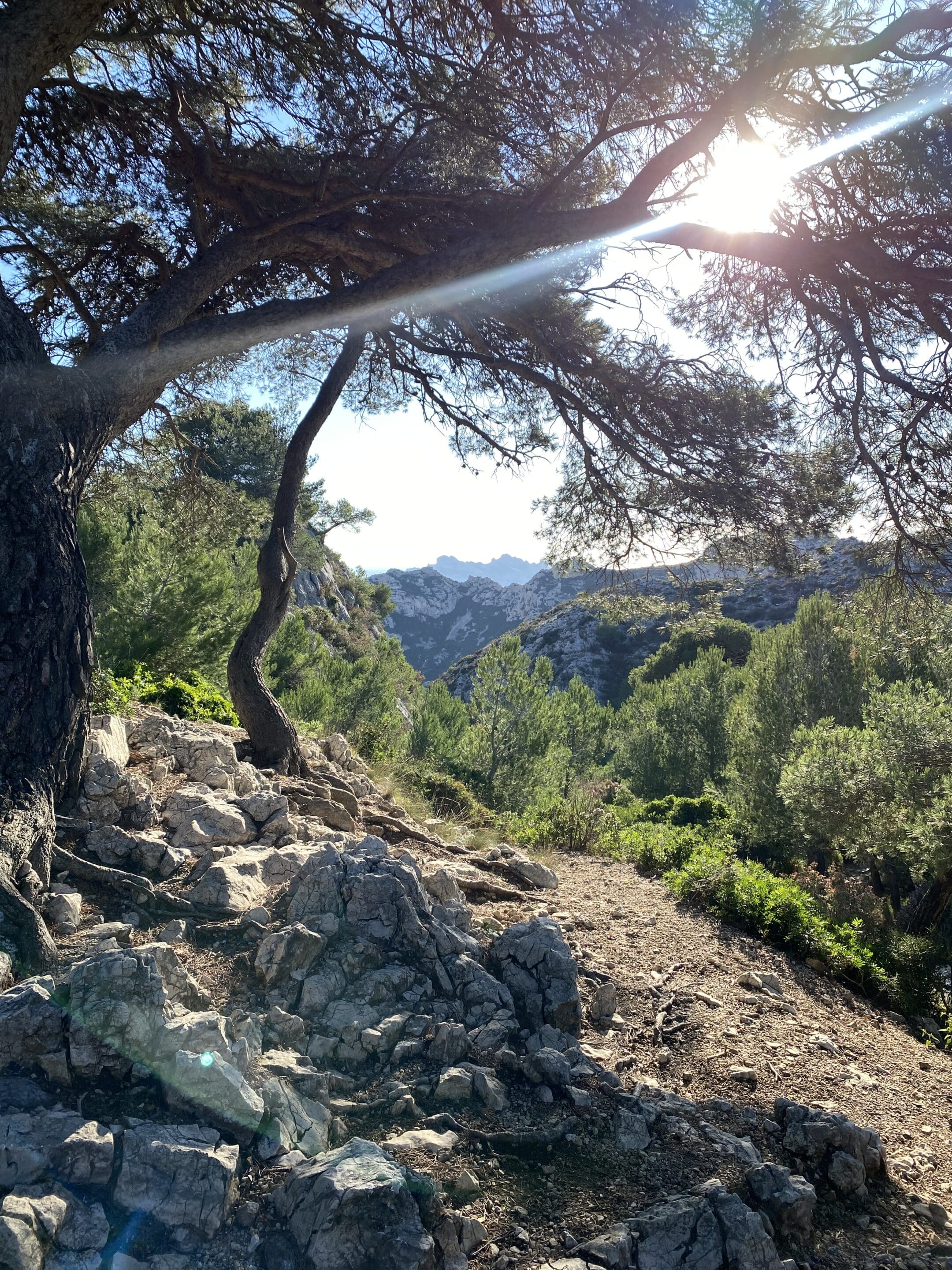 Paysage serein et lumineux, symbole d'un repos paisible