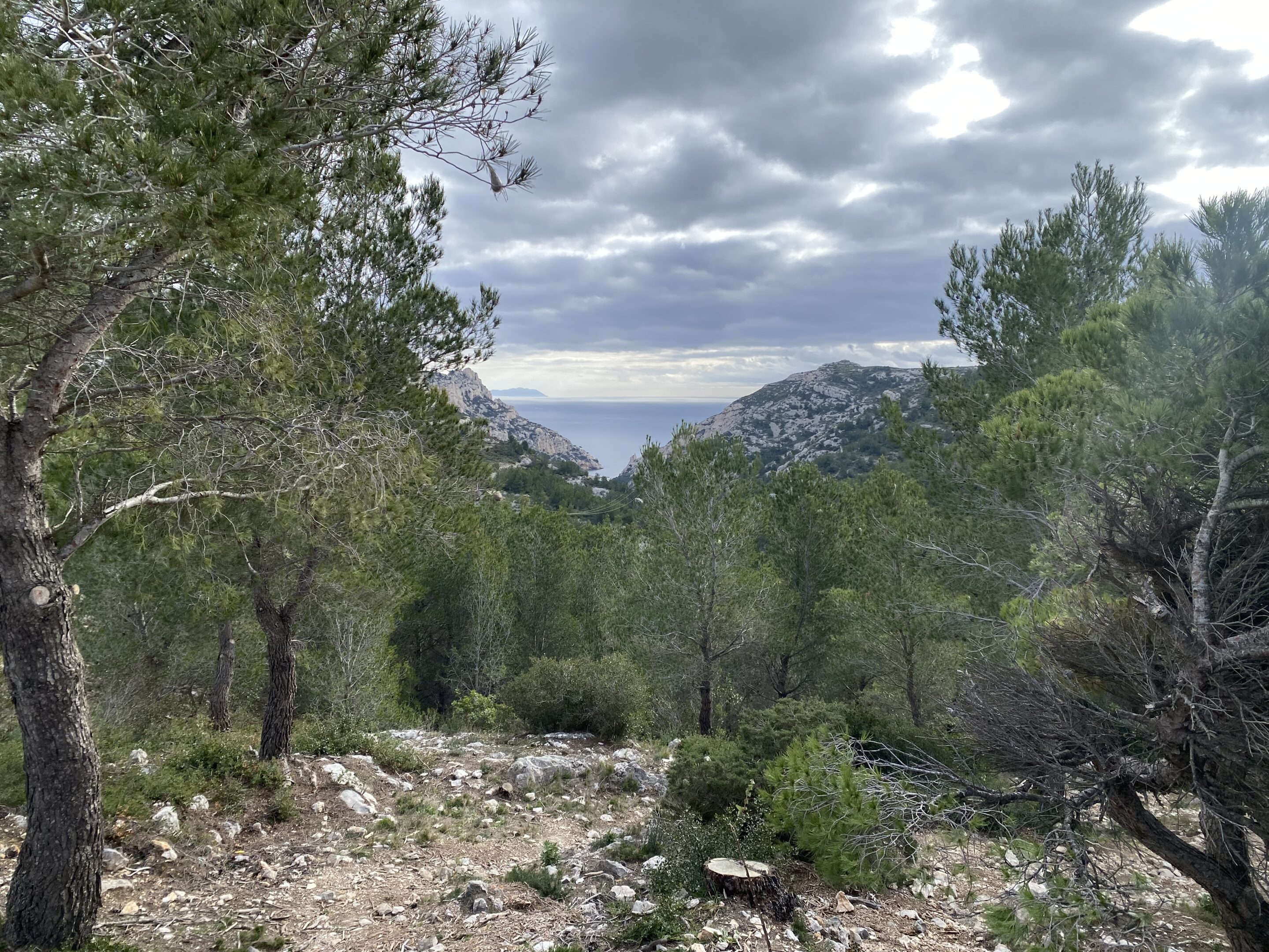 IMG_4868 deuil, douleur et accompagnement