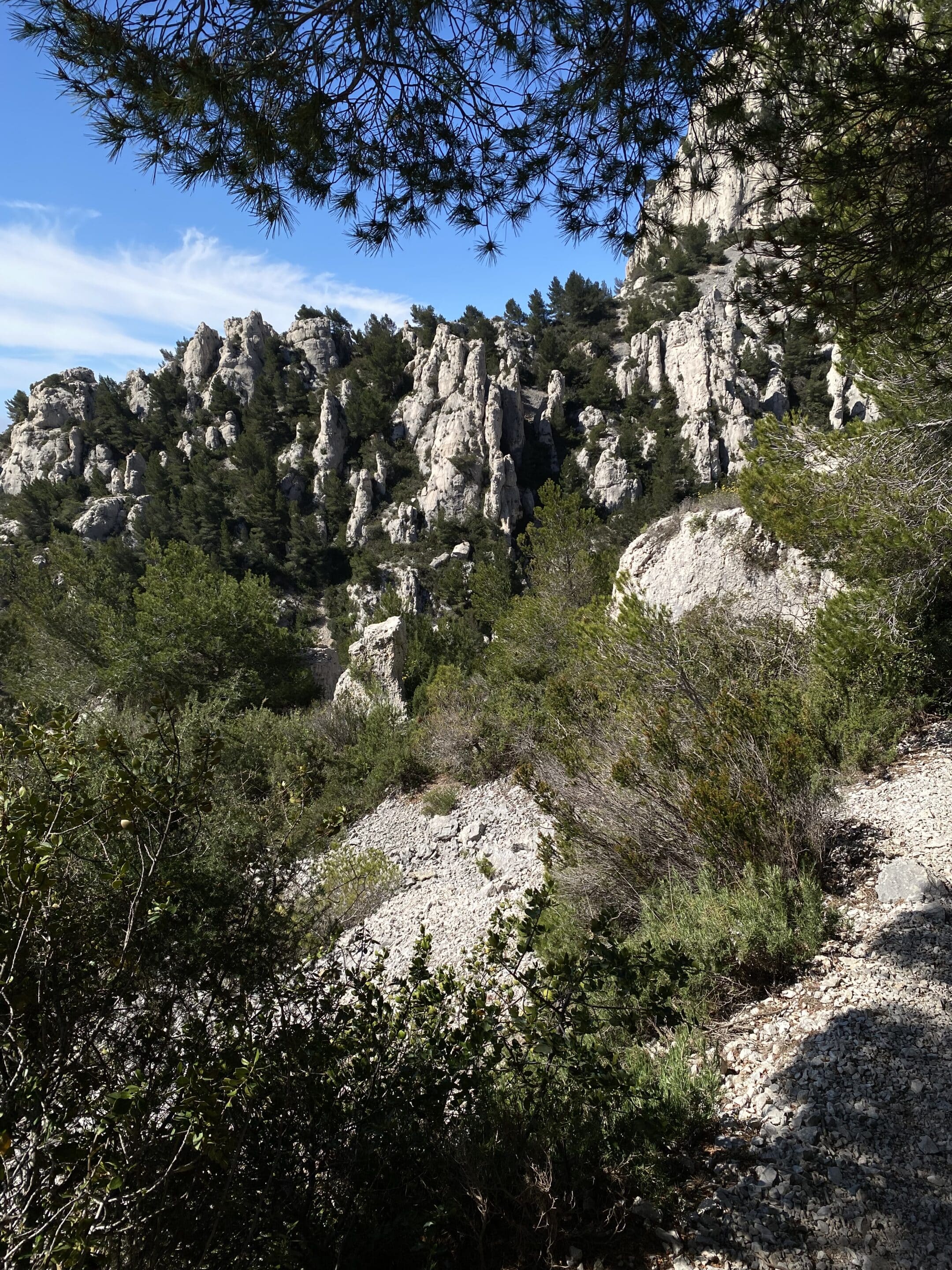 deuil 2 deuil et accompagnement